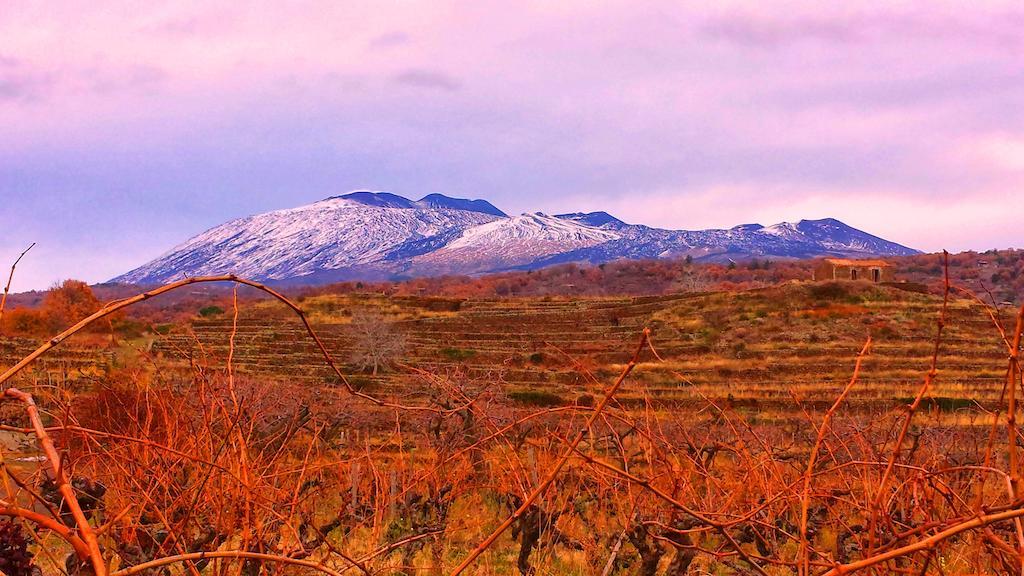 Etna Holiday Home Николози Экстерьер фото